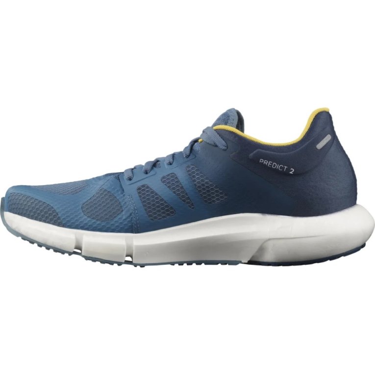 Salomon Predict 2 Men's Running Shoes Blue | CA 30L69